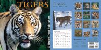 klick to zoom: B694972, Panthera tigris tigris, Copyright 2002: juvomi.de