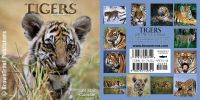 klick to zoom: B694974, Panthera tigris tigris, Copyright 2002: juvomi.de