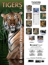 klick to zoom: B695381, Panthera tigris, Copyright 2002: juvomi.de