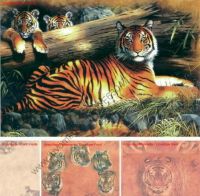 klick to zoom: TF63047, Panthera tigris tigris, Copyright 2002: juvomi.de