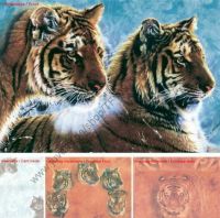 klick to zoom: TF10279, Panthera tigris tigris, Copyright 2002: juvomi.de