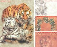 klick to zoom: TF10298, Panthera tigris tigris, Copyright 2002: juvomi.de